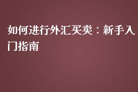 如何进行外汇买卖:新手入门指南_财经百问_第1张_财经百问网 如何进行外汇买卖:新手入门指南_https://cj002.lansai.wang_财经百问_第1张