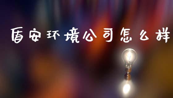 盾安环境公司怎么样_https://cj002.lansai.wang_期货问答_第1张