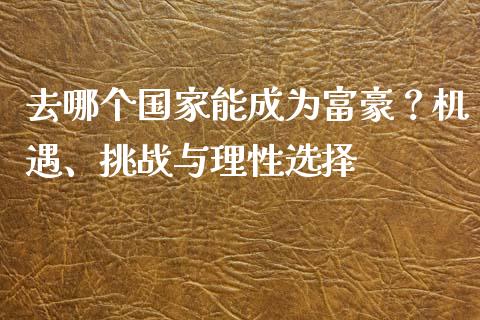 去哪个国家能成为富豪？机遇、挑战与理性选择_https://cj002.lansai.wang_会计问答_第1张