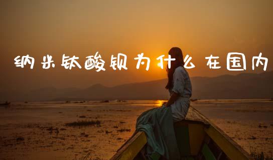 纳米钛酸钡为什么在国内_https://cj002.lansai.wang_财经百问_第1张