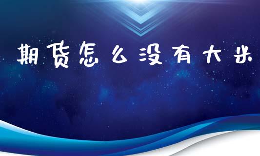 期货怎么没有大米_https://cj002.lansai.wang_财经问答_第1张