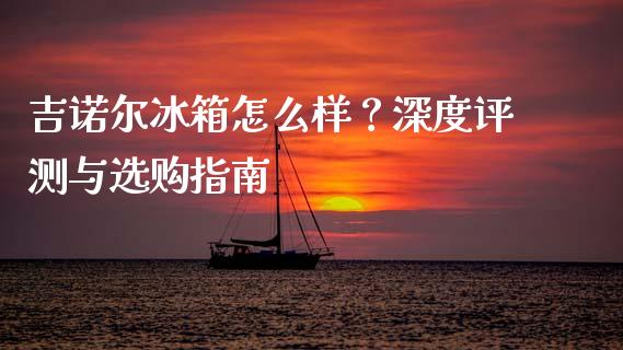 吉诺尔冰箱怎么样？深度评测与选购指南_https://cj002.lansai.wang_期货问答_第1张