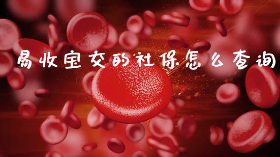 易收宝交的社保怎么查询_https://cj002.lansai.wang_金融问答_第1张