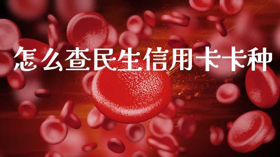 怎么查民生信用卡卡种_https://cj002.lansai.wang_金融问答_第1张