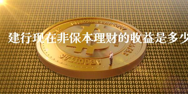 建行现在非保本理财的收益是多少_https://cj002.lansai.wang_会计问答_第1张