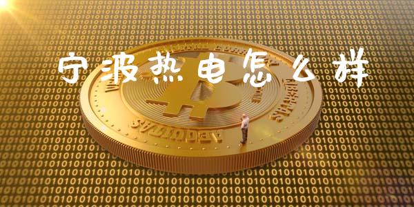 宁波热电怎么样_https://cj002.lansai.wang_财经问答_第1张