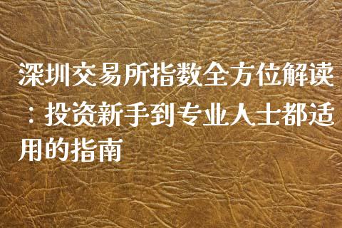 深圳交易所指数全方位解读：投资新手到专业人士都适用的指南_https://cj002.lansai.wang_会计问答_第1张