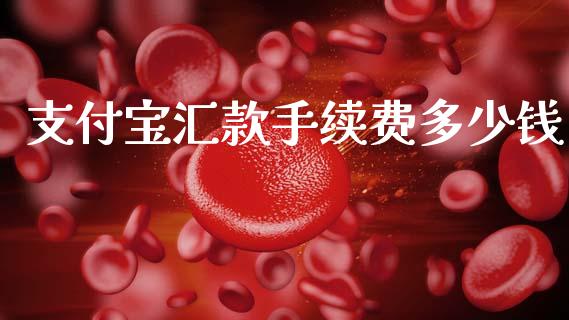 支付宝汇款手续费多少钱_股市问答_第1张_财经百问网 支付宝汇款手续费多少钱_https://cj002.lansai.wang_股市问答_第1张