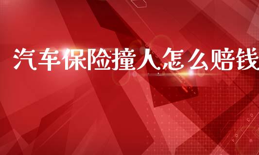 汽车保险撞人怎么赔钱_https://cj002.lansai.wang_保险问答_第1张