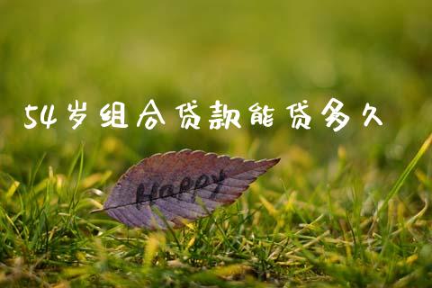 54岁组合贷款能贷多久_https://cj002.lansai.wang_理财问答_第1张