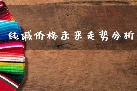 纯碱价格未来走势分析_https://cj002.lansai.wang_期货问答_第1张
