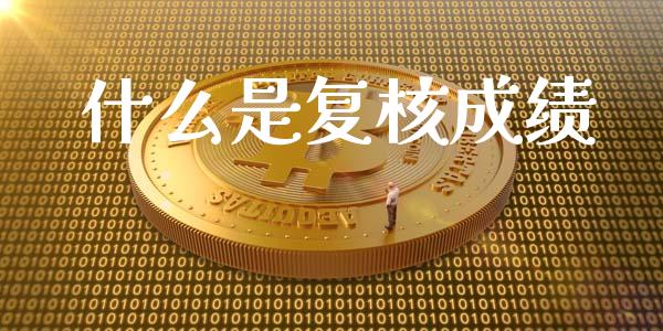 什么是复核成绩_https://cj002.lansai.wang_会计问答_第1张