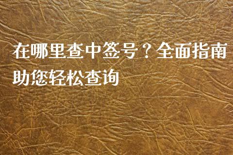 在哪里查中签号？全面指南助您轻松查询_https://cj002.lansai.wang_会计问答_第1张