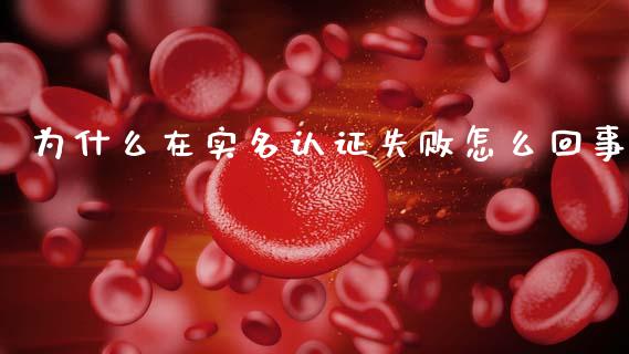 为什么在实名认证失败怎么回事_https://cj002.lansai.wang_理财问答_第1张