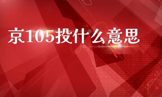 京105投什么意思_https://cj002.lansai.wang_会计问答_第1张