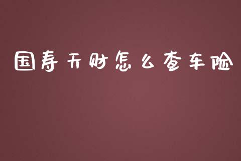 国寿天财怎么查车险_https://cj002.lansai.wang_保险问答_第1张