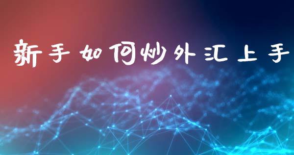 新手如何炒外汇上手_https://cj002.lansai.wang_财经问答_第1张