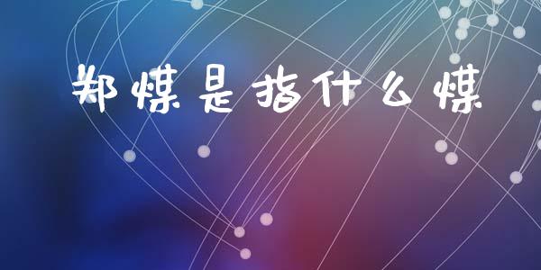 郑煤是指什么煤_https://cj002.lansai.wang_期货问答_第1张
