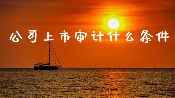 公司上市审计什么条件_https://cj002.lansai.wang_会计问答_第1张