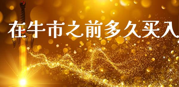 在牛市之前多久买入_https://cj002.lansai.wang_股市问答_第1张