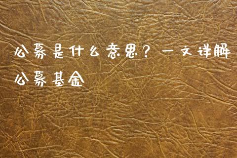 公募是什么意思？一文详解公募基金_https://cj002.lansai.wang_会计问答_第1张