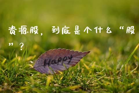 资源股，到底是个什么“股”？_https://cj002.lansai.wang_金融问答_第1张