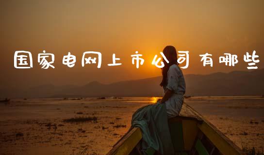 国家电网上市公司有哪些_https://cj002.lansai.wang_财经问答_第1张
