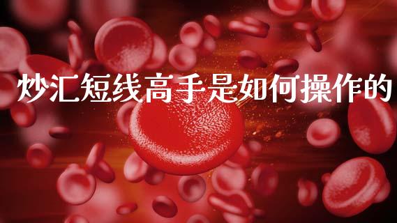 炒汇短线高手是如何操作的_https://cj002.lansai.wang_财经问答_第1张