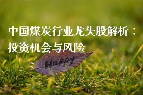 中国煤炭行业龙头股解析：投资机会与风险_https://cj002.lansai.wang_股市问答_第1张