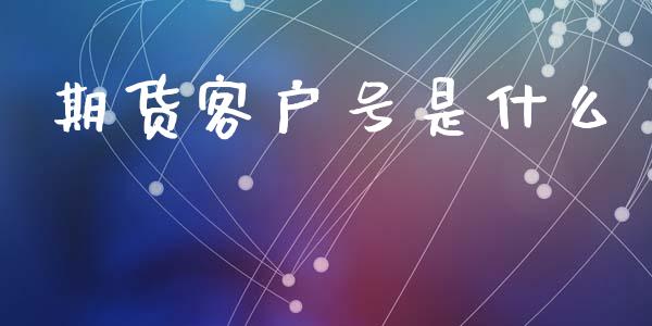 期货客户号是什么_会计问答_第1张_财经百问网 期货客户号是什么_https://cj002.lansai.wang_会计问答_第1张
