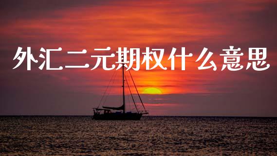 外汇二元期权什么意思_https://cj002.lansai.wang_财经百问_第1张