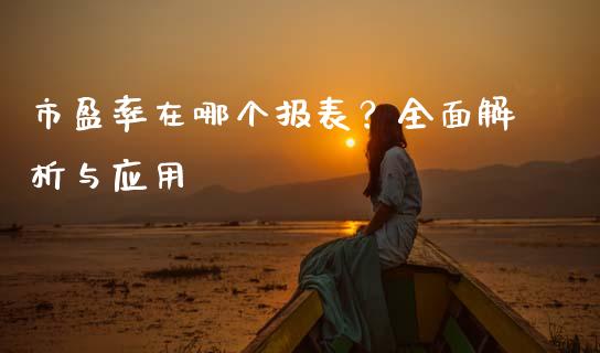 市盈率在哪个报表？全面解析与应用_https://cj002.lansai.wang_股市问答_第1张