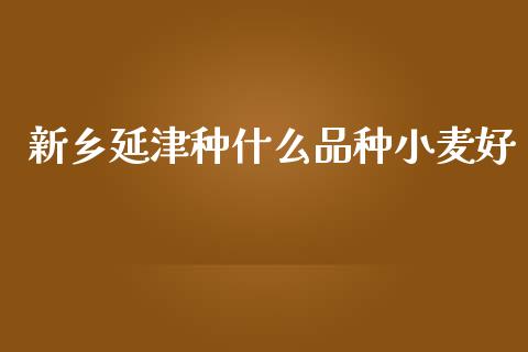 新乡延津种什么品种小麦好_https://cj002.lansai.wang_理财问答_第1张
