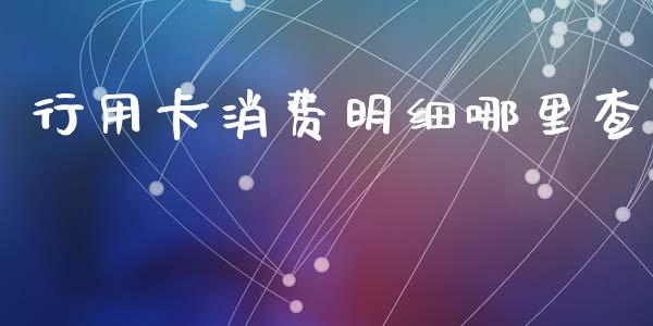 行用卡消费明细哪里查_https://cj002.lansai.wang_理财问答_第1张