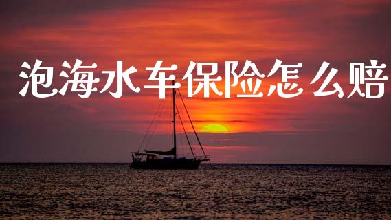 泡海水车保险怎么赔_https://cj002.lansai.wang_保险问答_第1张