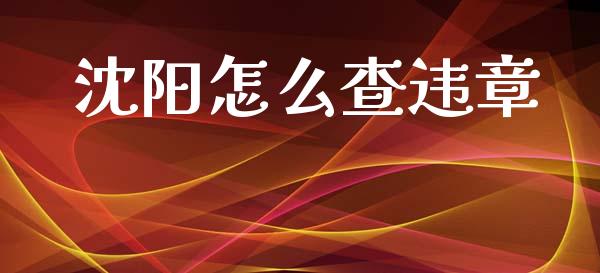 沈阳怎么查违章_https://cj002.lansai.wang_保险问答_第1张