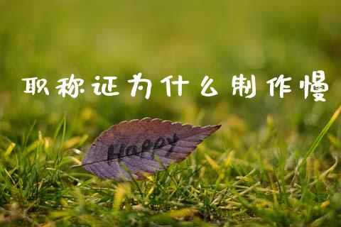 职称证为什么制作慢_https://cj002.lansai.wang_会计问答_第1张