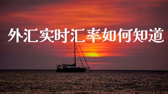 外汇实时汇率如何知道_https://cj002.lansai.wang_财经问答_第1张