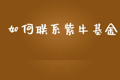 如何联系紫牛基金_https://cj002.lansai.wang_保险问答_第1张