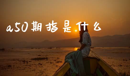 a50期指是什么_金融问答_第1张_财经百问网 a50期指是什么_https://cj002.lansai.wang_金融问答_第1张