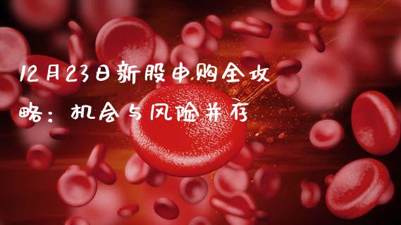 12月23日新股申购全攻略:机会与风险并存_会计问答_第1张_财经百问网 12月23日新股申购全攻略:机会与风险并存_https://cj002.lansai.wang_会计问答_第1张