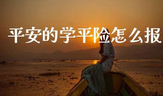 平安的学平险怎么报_https://cj002.lansai.wang_保险问答_第1张
