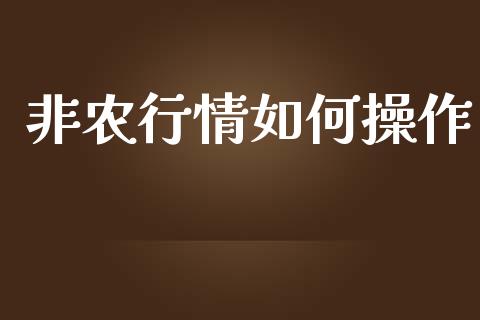 非农行情如何操作_https://cj002.lansai.wang_期货问答_第1张