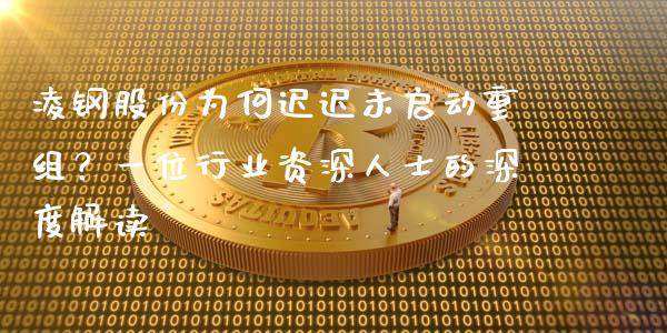 凌钢股份为何迟迟未启动重组？一位行业资深人士的深度解读_https://cj002.lansai.wang_会计问答_第1张