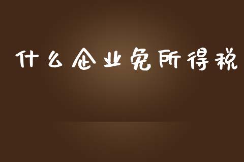 什么企业免所得税_https://cj002.lansai.wang_会计问答_第1张