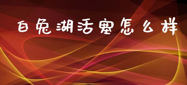 白兔湖活塞怎么样_https://cj002.lansai.wang_理财问答_第1张