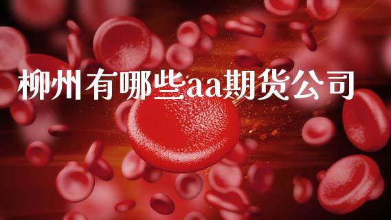柳州有哪些aa期货公司_https://cj002.lansai.wang_股市问答_第1张
