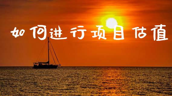 如何进行项目估值_https://cj002.lansai.wang_股市问答_第1张