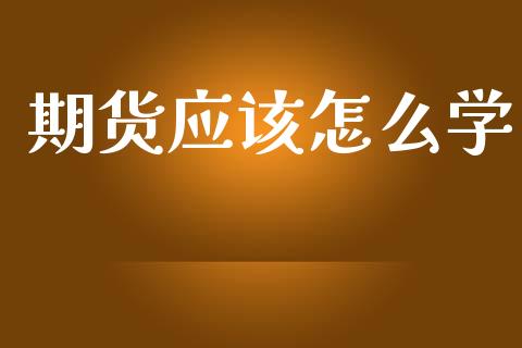 期货应该怎么学_https://cj002.lansai.wang_金融问答_第1张