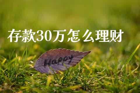 存款30万怎么理财_https://cj002.lansai.wang_财经问答_第1张